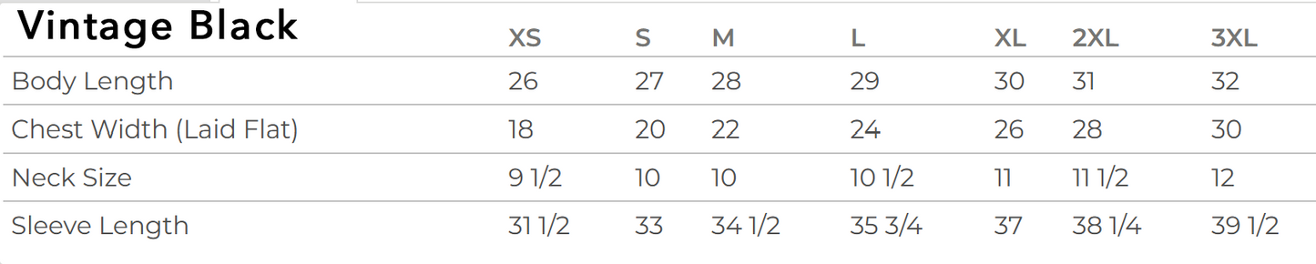 Space Station Pullover Hoodie